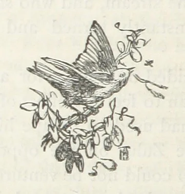 An illustration from Among the Zulus; the adventures of Hans Sterk ... With illustrations by J. B. Zwecker. New ... edition. Third thousand, 1879, leaf 210