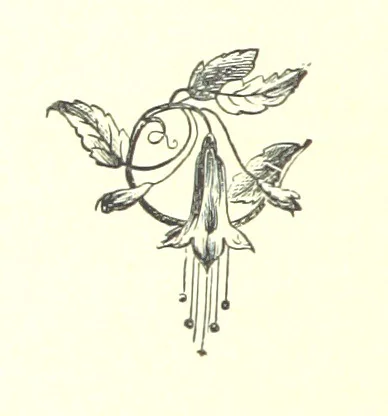 An illustration from In the Enemy's Country; or, the Raven of Steinbrück. A story of 1813, etc, 1891, leaf 120