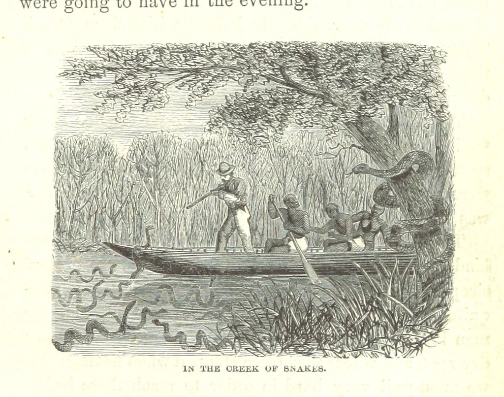An illustration from Wild Life under the Equator. Narrated for young people, etc, 1869, leaf 101