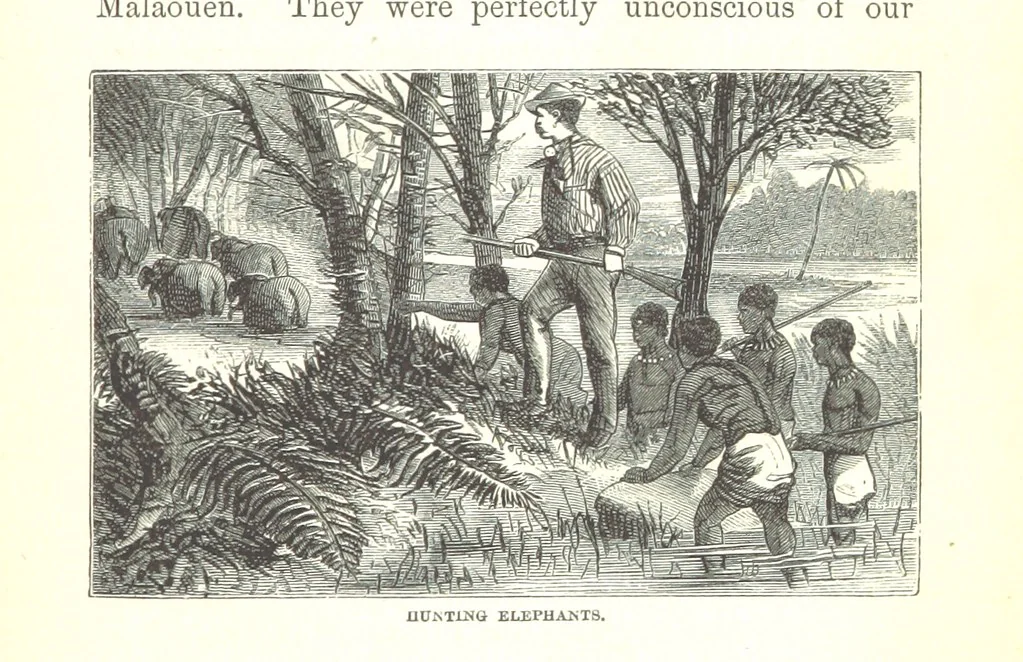 An illustration from Wild Life under the Equator. Narrated for young people, etc, 1869, leaf 149