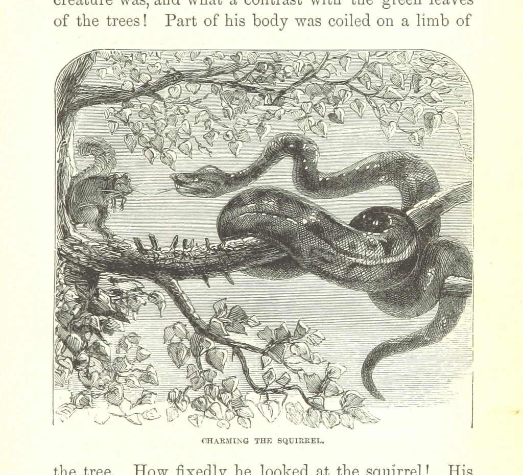 An illustration from Wild Life under the Equator. Narrated for young people, etc, 1869, leaf 167