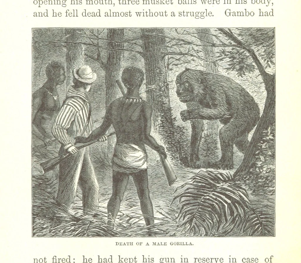 An illustration from Wild Life under the Equator. Narrated for young people, etc, 1869, leaf 179