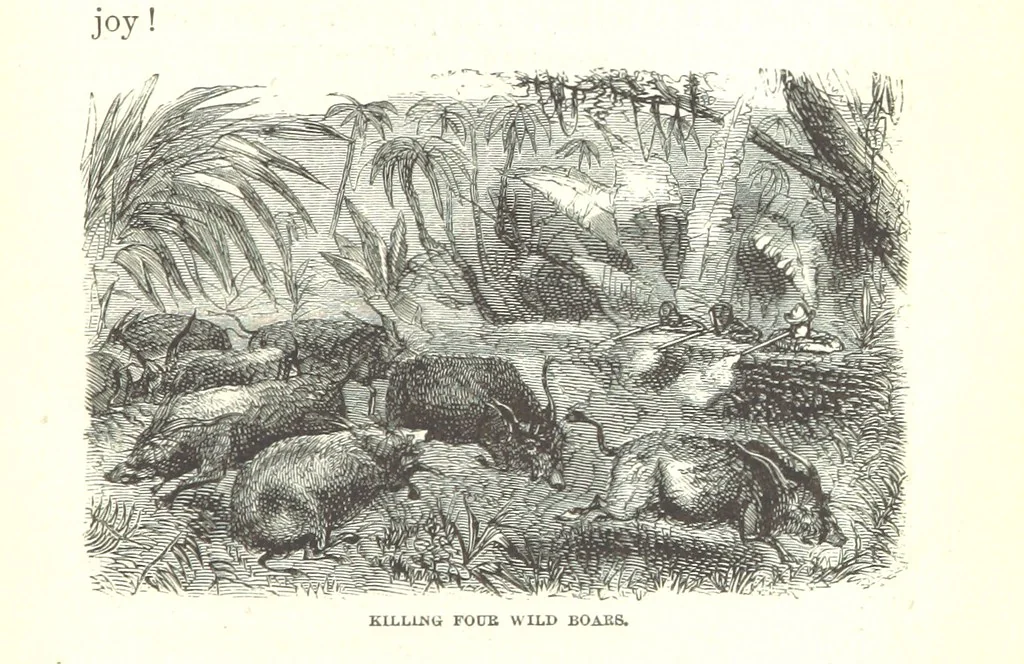 An illustration from Wild Life under the Equator. Narrated for young people, etc, 1869, leaf 201