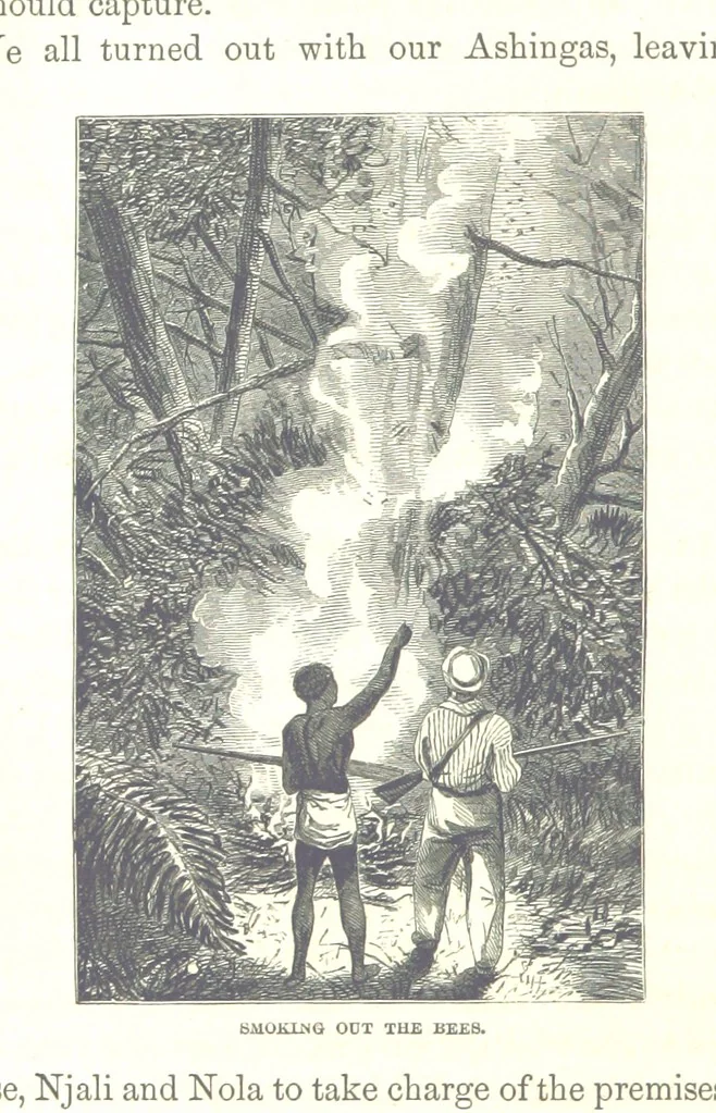 An illustration from Wild Life under the Equator. Narrated for young people, etc, 1869, leaf 210