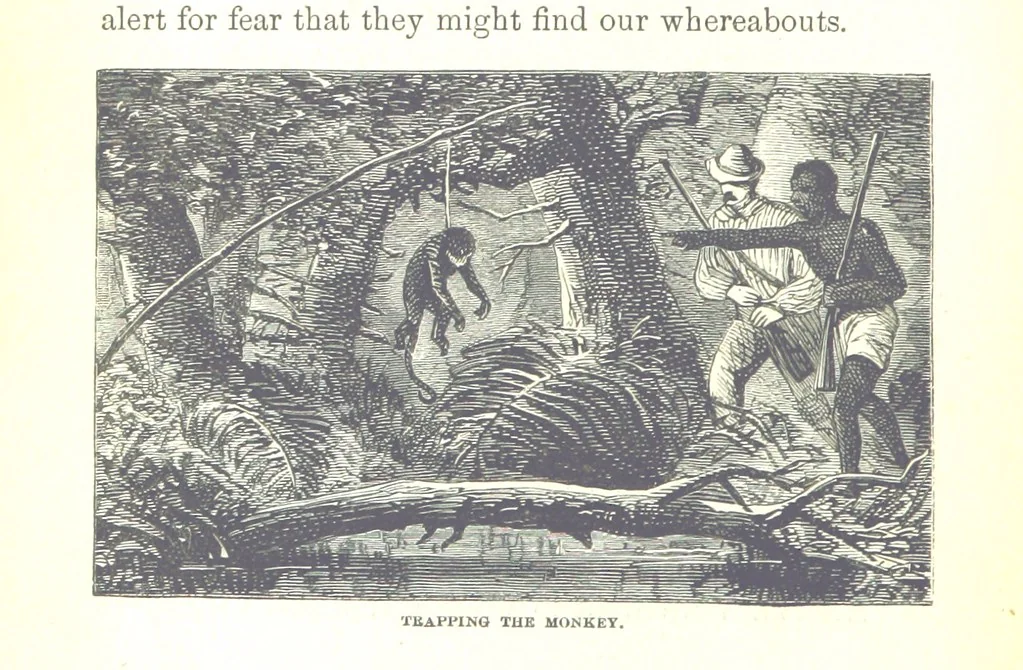 An illustration from Wild Life under the Equator. Narrated for young people, etc, 1869, leaf 212