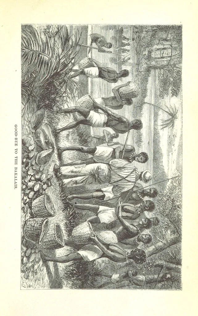 An illustration from Wild Life under the Equator. Narrated for young people, etc, 1869, leaf 233