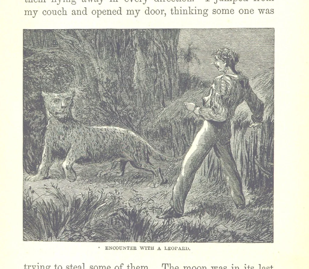An illustration from Wild Life under the Equator. Narrated for young people, etc, 1869, leaf 36