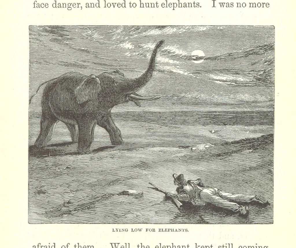 An illustration from Wild Life under the Equator. Narrated for young people, etc, 1869, leaf 41