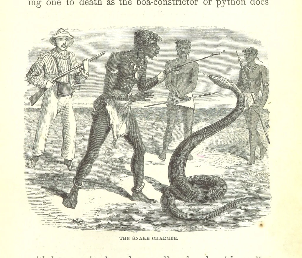 An illustration from Wild Life under the Equator. Narrated for young people, etc, 1869, leaf 47