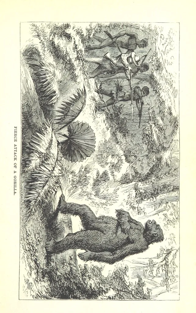 An illustration from Wild Life under the Equator. Narrated for young people, etc, 1869, leaf 61