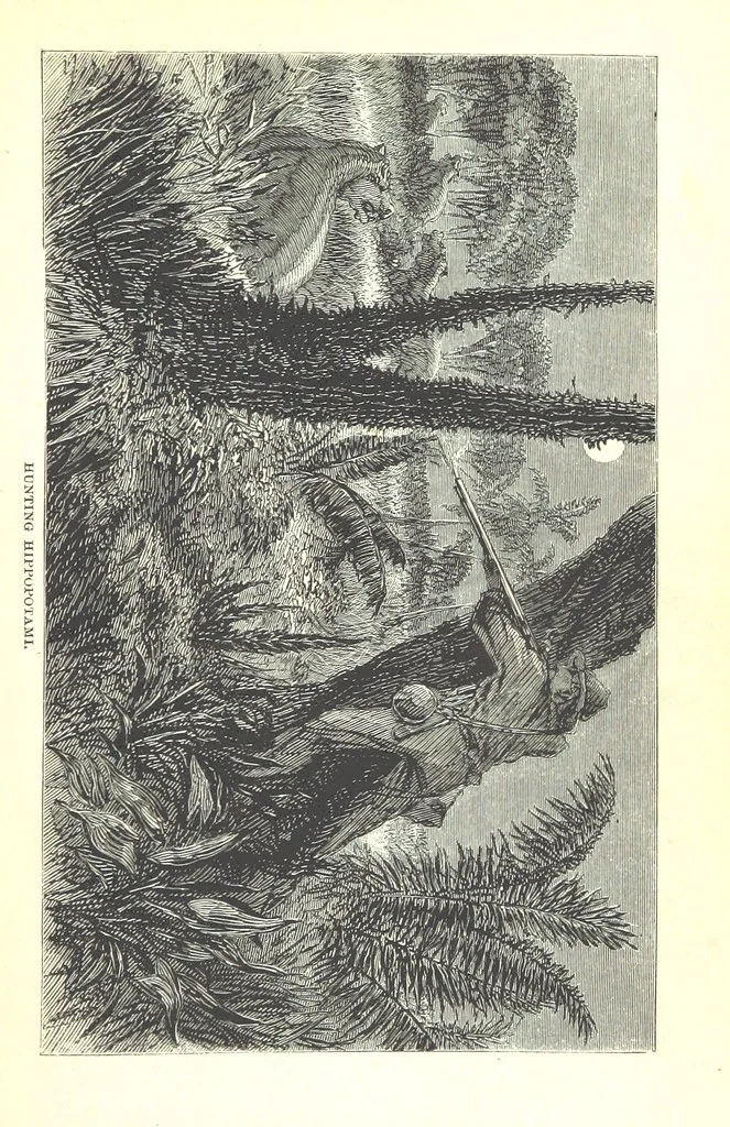 An illustration from Wild Life under the Equator. Narrated for young people, etc, 1869, leaf 77