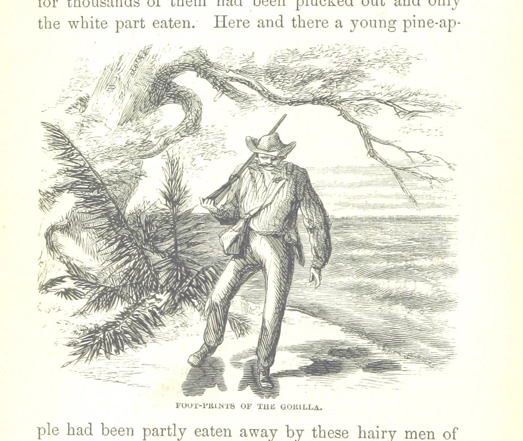 An illustration from Wild Life under the Equator. Narrated for young people, etc, 1869, leaf 82