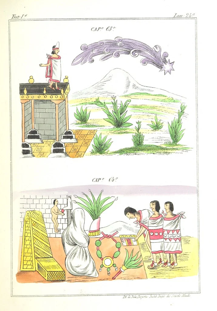 An illustration from Historia de las Indias de Nueva-España y islas de Tierra Firme ... La publica con un atlas, notas, y ilustraciones J. F. Ramirez, etc, 1867, leaf 545
