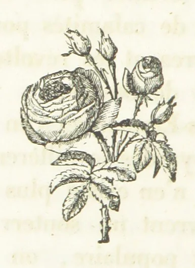 An illustration from Chorographie du Comté de Nice, 1847, leaf 308