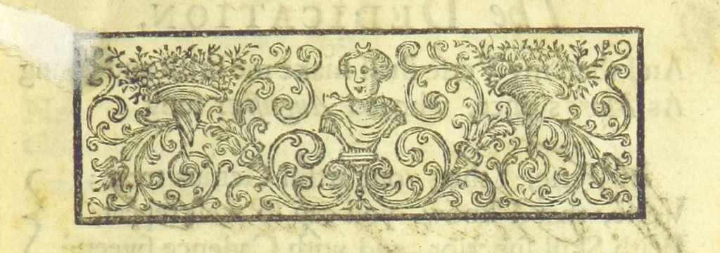 An illustration from New Operas, with comical Stories, and Poems, on several occasions, never before printed, being the remaining pieces, written by Mr D, 1721, leaf 11