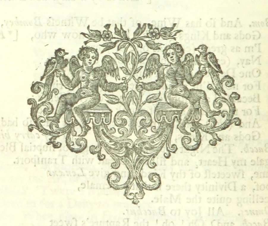 An illustration from New Operas, with comical Stories, and Poems, on several occasions, never before printed, being the remaining pieces, written by Mr D, 1721, leaf 242