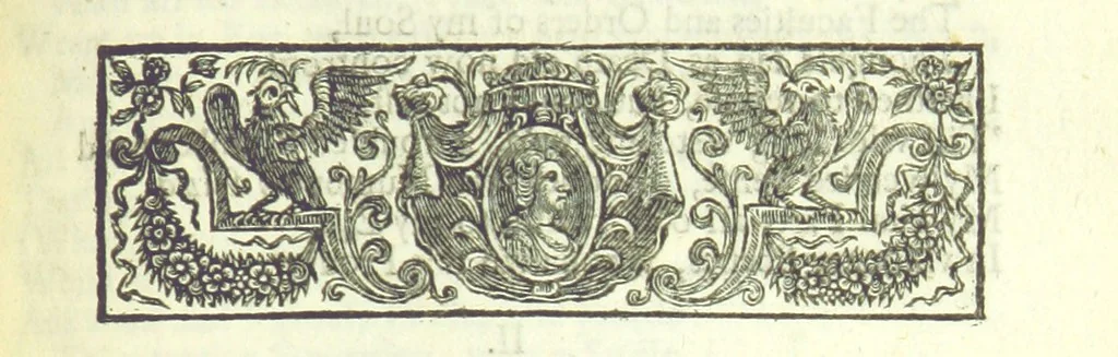 An illustration from New Operas, with comical Stories, and Poems, on several occasions, never before printed, being the remaining pieces, written by Mr D, 1721, leaf 319