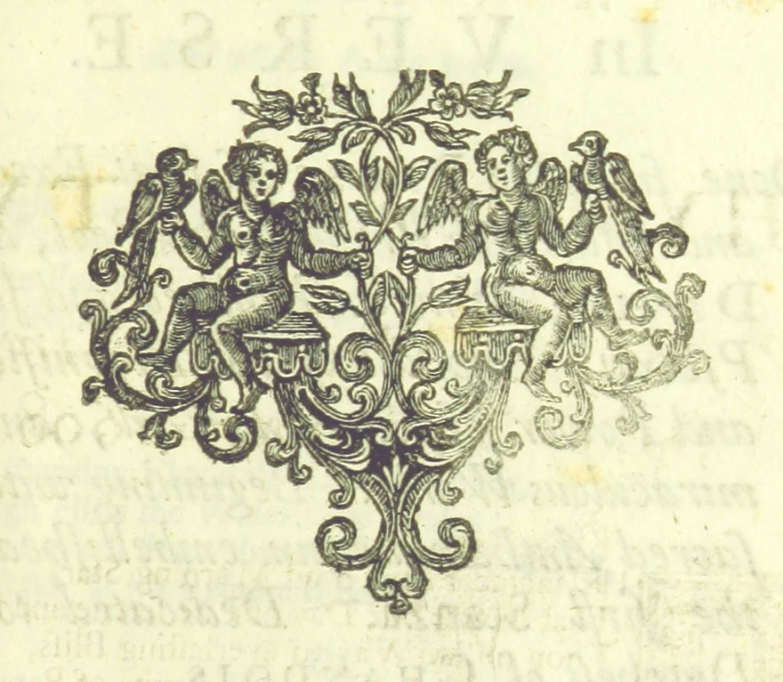 An illustration from New Operas, with comical Stories, and Poems, on several occasions, never before printed, being the remaining pieces, written by Mr D, 1721, leaf 381