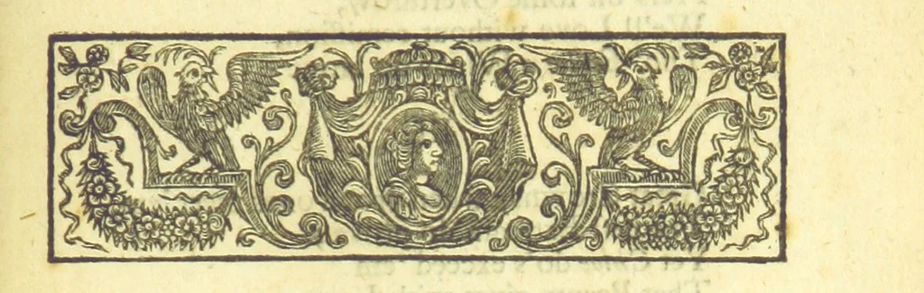 An illustration from New Operas, with comical Stories, and Poems, on several occasions, never before printed, being the remaining pieces, written by Mr D, 1721, leaf 405