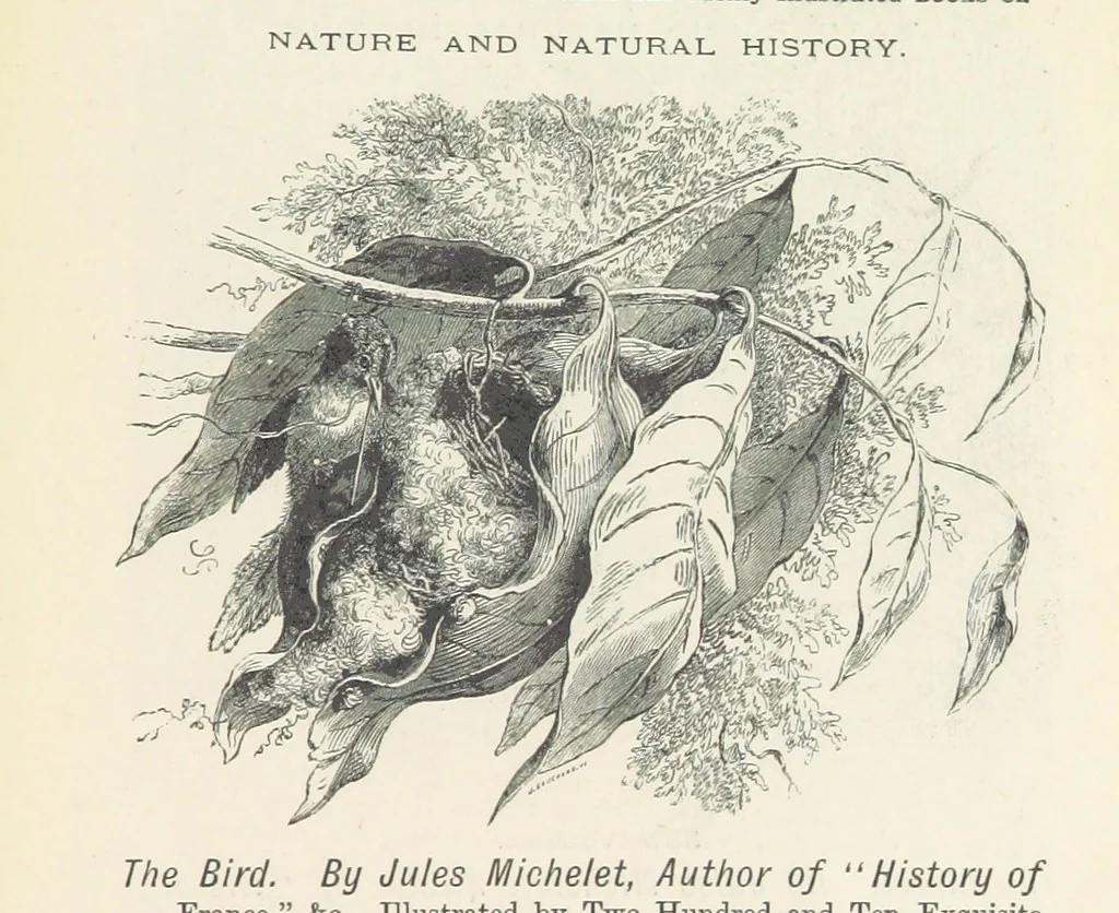 An illustration from Haunted Rooms. A tale. By A. L. O. E. [i.e. Miss C. Tucker, 1876, leaf 347