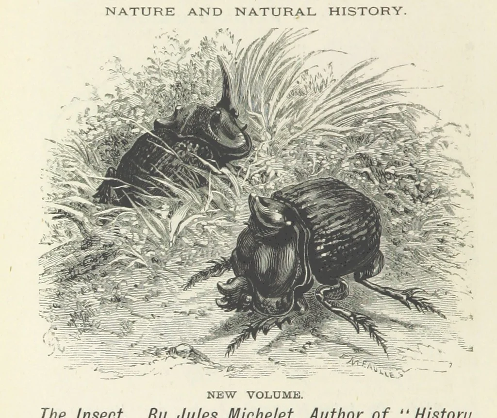 An illustration from Haunted Rooms. A tale. By A. L. O. E. [i.e. Miss C. Tucker, 1876, leaf 348