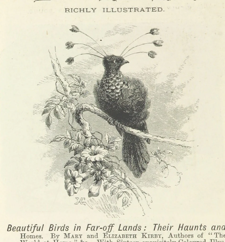 An illustration from Haunted Rooms. A tale. By A. L. O. E. [i.e. Miss C. Tucker, 1876, leaf 354