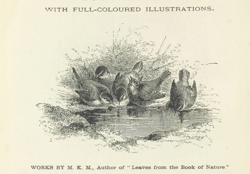 An illustration from Haunted Rooms. A tale. By A. L. O. E. [i.e. Miss C. Tucker, 1876, leaf 356