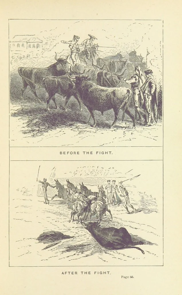 An illustration from The Spanish Cavalier. A story of Seville. By A. L. O. E., etc. [i.e. Miss C. Tucker, 1875, leaf 79