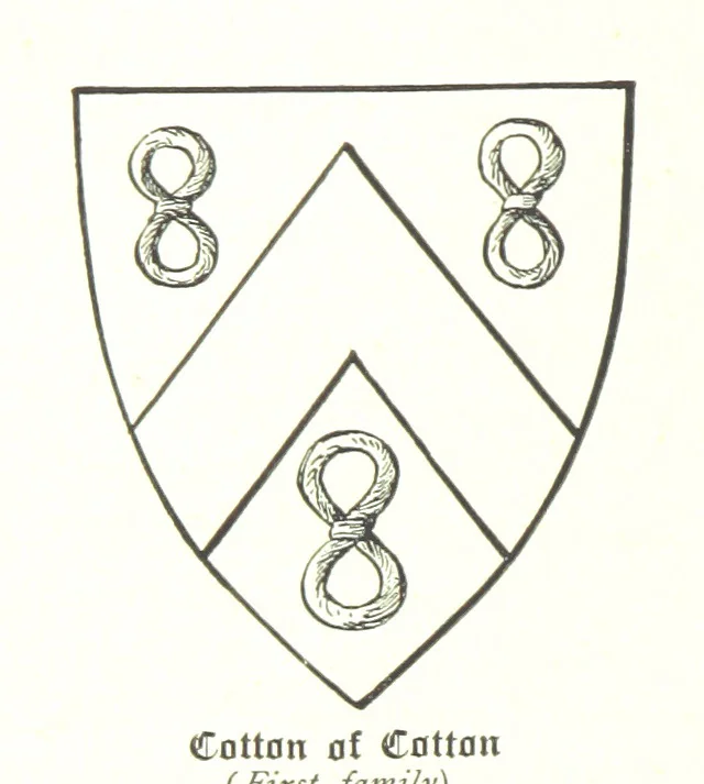 An illustration from The History of the Ancient Parish of Sandbach, Co. Chester, including the two Chapelries of Holmes Chapel and Goostrey, etc, 1890, leaf 222