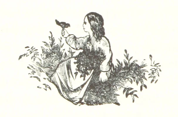 An illustration from Count Teleki. A story of modern Jewish life and customs. By Eca, 1869, leaf 30