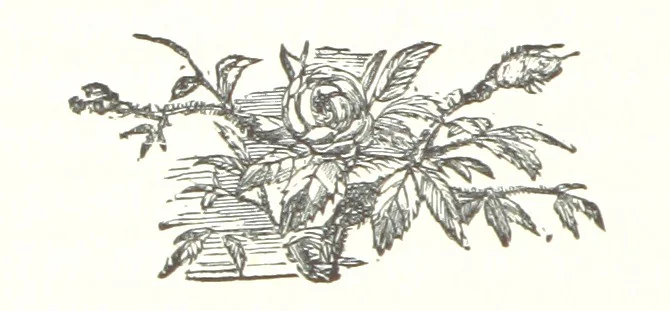 An illustration from Count Teleki. A story of modern Jewish life and customs. By Eca, 1869, leaf 84