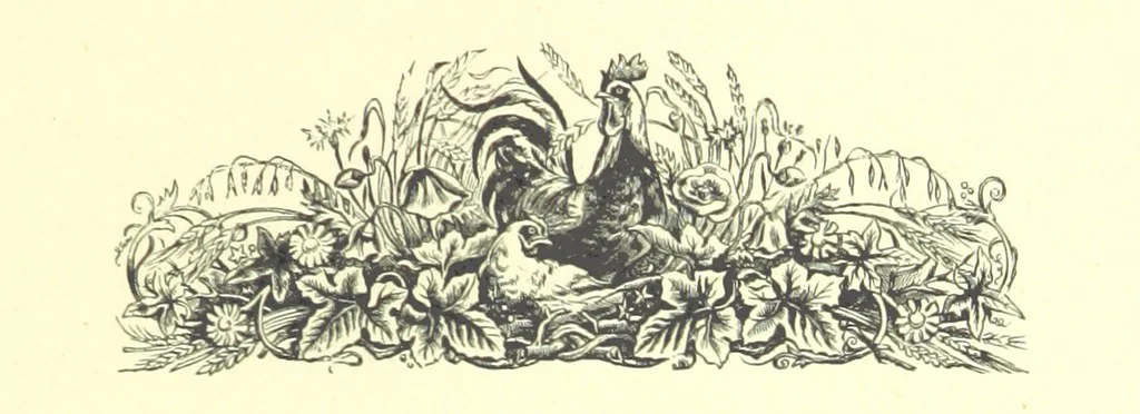 An illustration from Lays of the Colleges, being a collection of songs and verses by members of the Æsculapian, Medico-Chirurgical and other Professional Clubs in Edinburgh, 1886, leaf 17