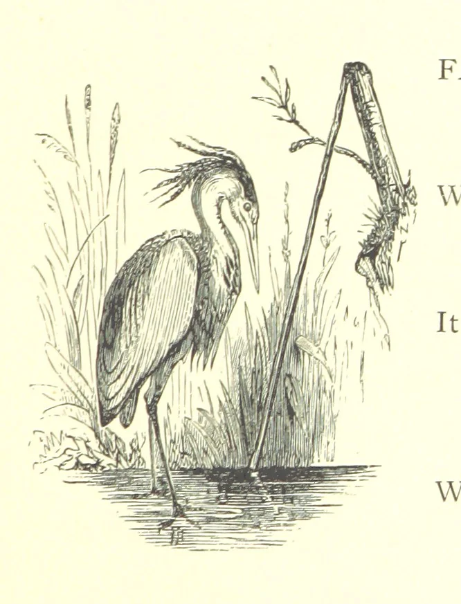 An illustration from Lays of the Colleges, being a collection of songs and verses by members of the Æsculapian, Medico-Chirurgical and other Professional Clubs in Edinburgh, 1886, leaf 243
