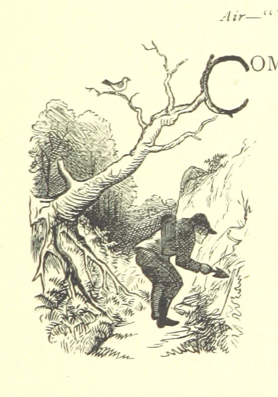 An illustration from Lays of the Colleges, being a collection of songs and verses by members of the Æsculapian, Medico-Chirurgical and other Professional Clubs in Edinburgh, 1886, leaf 255