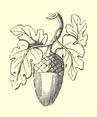 An illustration from Lays of the Colleges, being a collection of songs and verses by members of the Æsculapian, Medico-Chirurgical and other Professional Clubs in Edinburgh, 1886, leaf 281