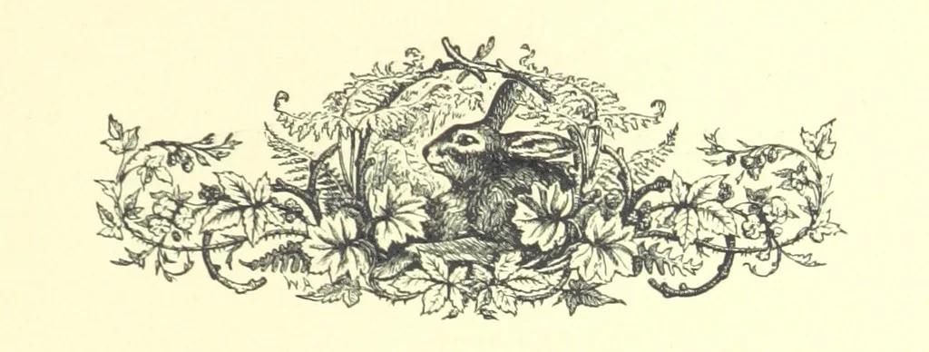 An illustration from Lays of the Colleges, being a collection of songs and verses by members of the Æsculapian, Medico-Chirurgical and other Professional Clubs in Edinburgh, 1886, leaf 41