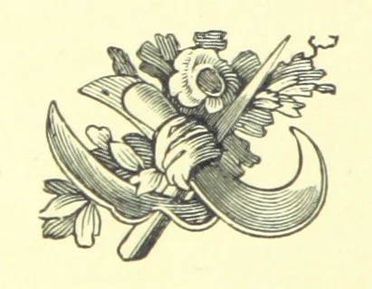 An illustration from Lays of the Colleges, being a collection of songs and verses by members of the Æsculapian, Medico-Chirurgical and other Professional Clubs in Edinburgh, 1886, leaf 80