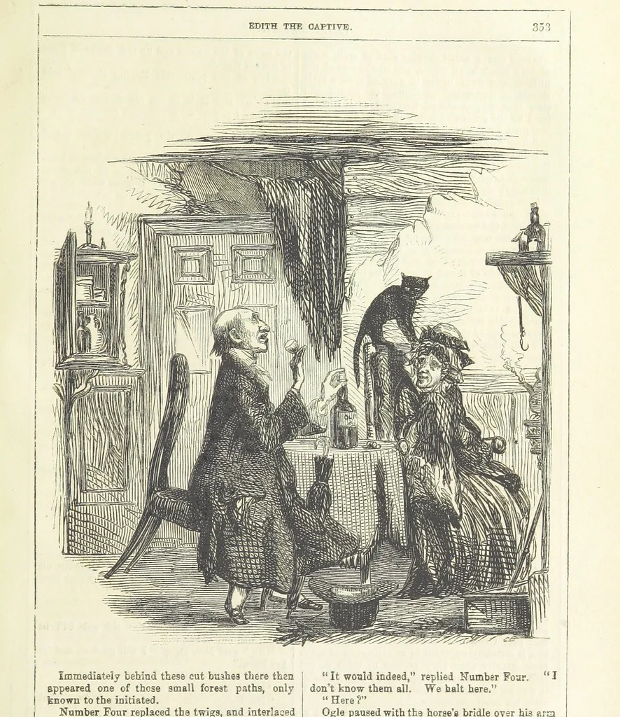 An illustration from Edith the Captive; or, the Robbers of Epping Forest. By the author of “Jane Brightwell,” [i.e. J. M. Rymer.] etc, 1861, leaf 365