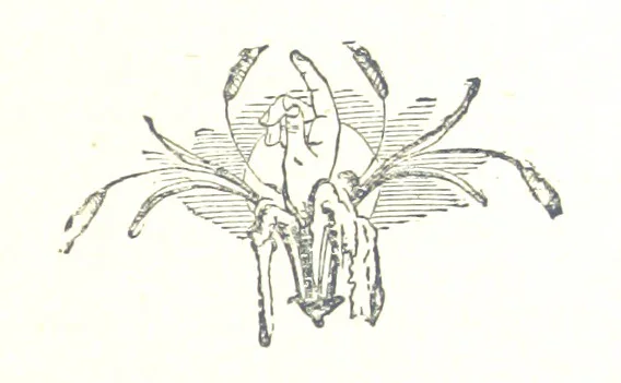 An illustration from Famous American Indians. Red Eagle and the wars with the Creek Indians of Alabama, 1878, leaf 129