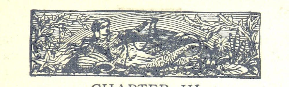 An illustration from Famous American Indians. Red Eagle and the wars with the Creek Indians of Alabama, 1878, leaf 43