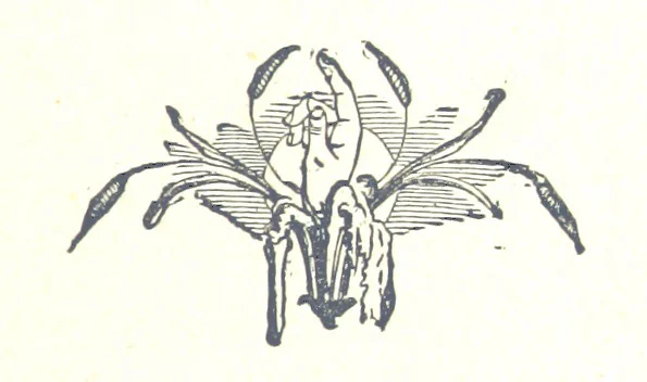 An illustration from Famous American Indians. Red Eagle and the wars with the Creek Indians of Alabama, 1878, leaf 93