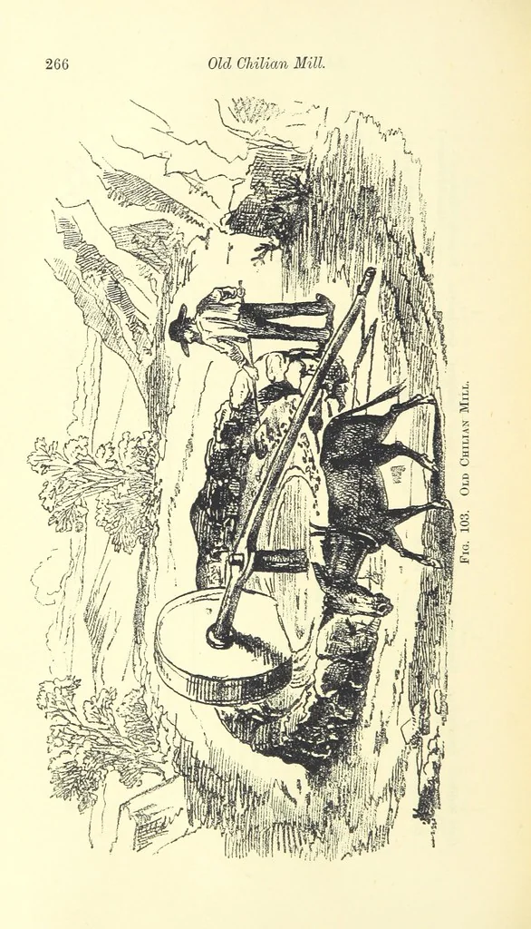 An illustration from The Metallurgy of Silver, Gold, and Mercury in the United States, 1887, leaf 314