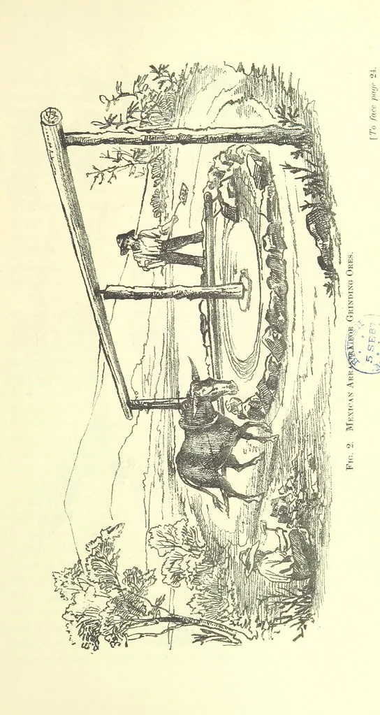 An illustration from The Metallurgy of Silver, Gold, and Mercury in the United States, 1887, leaf 47