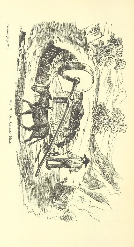 An illustration from The Metallurgy of Silver, Gold, and Mercury in the United States, 1887, leaf 48