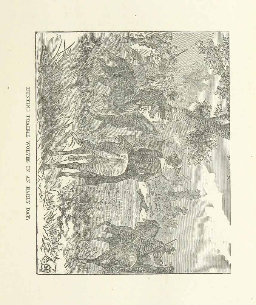 An illustration from History of Elkhart County, Indiana ... History of Indiana ... Illustrated, 1881, leaf 155