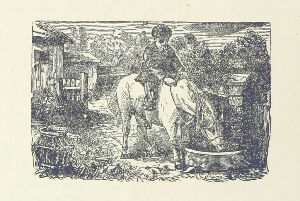 An illustration from History of Elkhart County, Indiana ... History of Indiana ... Illustrated, 1881, leaf 330