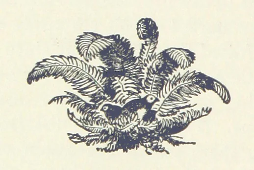 An illustration from History of Elkhart County, Indiana ... History of Indiana ... Illustrated, 1881, leaf 88