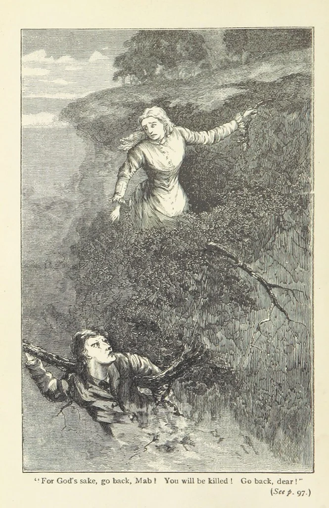 An illustration from A Woman's Hand. [A novel, 1884, leaf 8