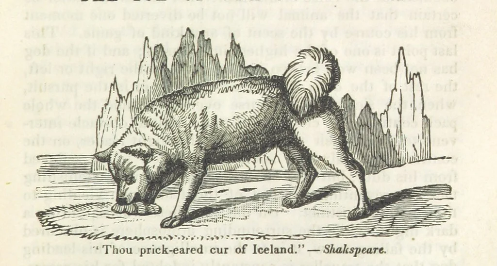 An illustration from Robinson Crusoe's own book; or, the voice of adventure from the civilized man cut off from his fellows ... and from the wanderer in strange seas and lands, etc, 1842, leaf 123