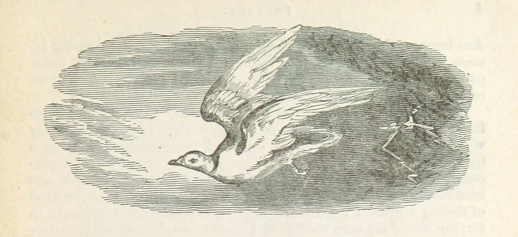 An illustration from Robinson Crusoe's own book; or, the voice of adventure from the civilized man cut off from his fellows ... and from the wanderer in strange seas and lands, etc, 1842, leaf 13